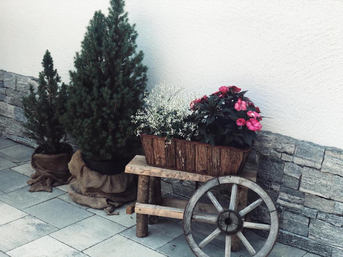 Alpendorf Auszeit Apartment ซังค์โยฮันน์อิมพองเกา ภายนอก รูปภาพ